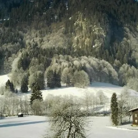 Haus Falkenstein Nr 4 Mit Balkon In Oberstdorf-tiefenbach Apartment *